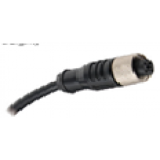 M12 Plug